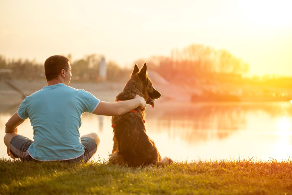 What Are the Benefits of an Emotional Support Animal?